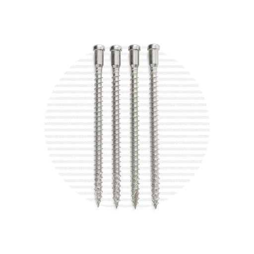 Post Mounting Screw Packs | 4-Pack Hardware Cable Bullet Stainless 